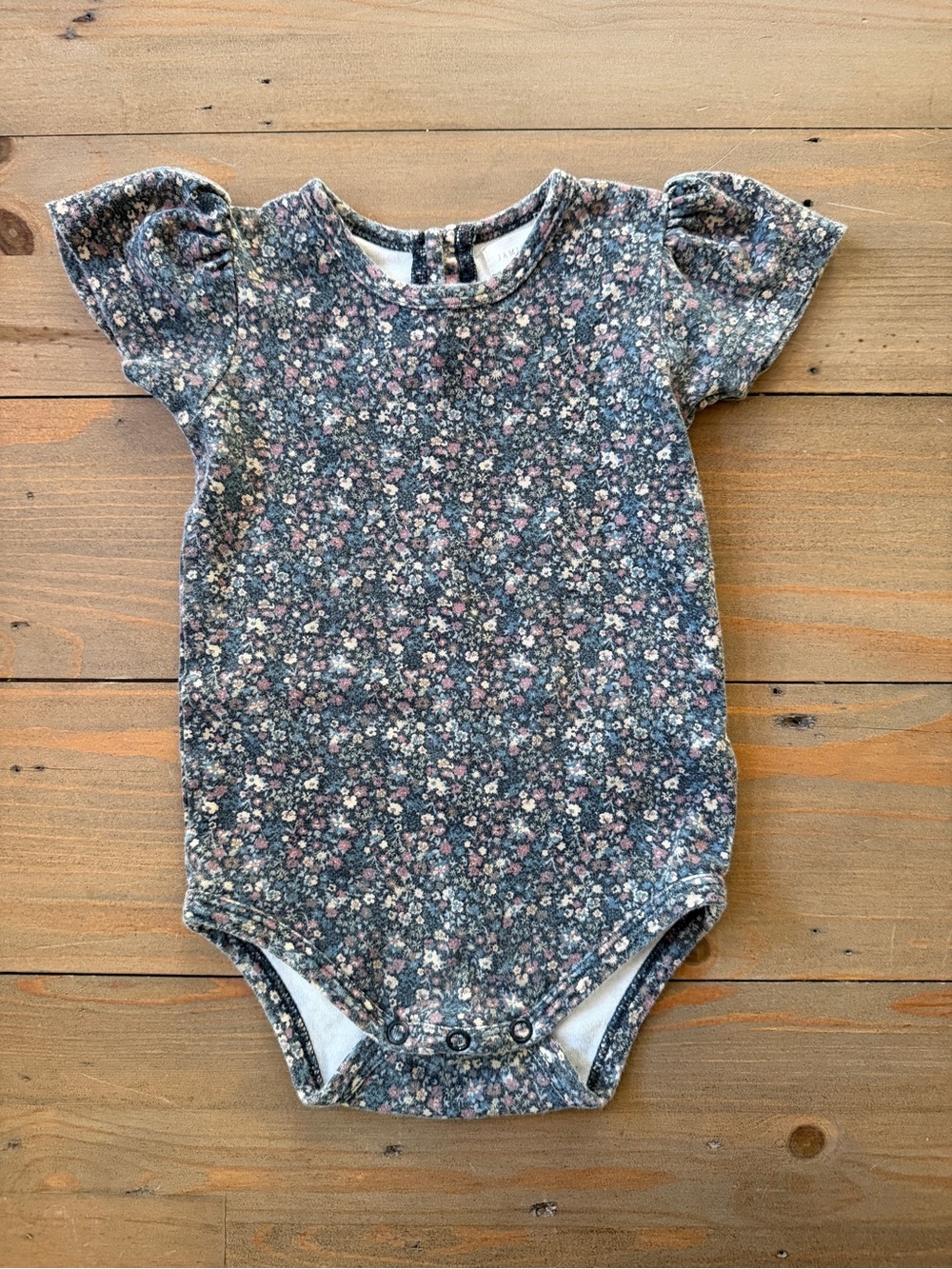 Jamie Kay Floral Short-Sleeve Bodysuit - 1 Year
